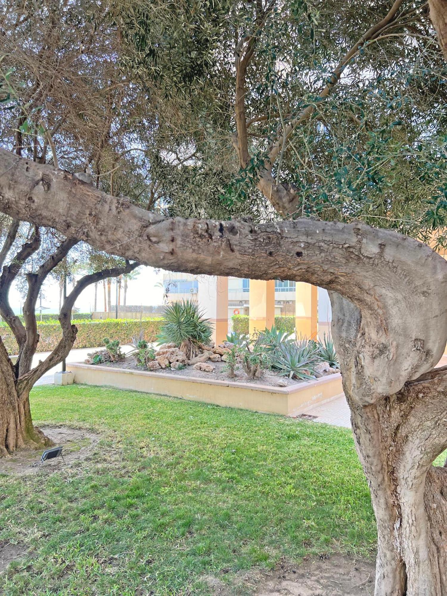 Oasis Frente Al Mar. Parking Gratis Διαμέρισμα El Campello Εξωτερικό φωτογραφία