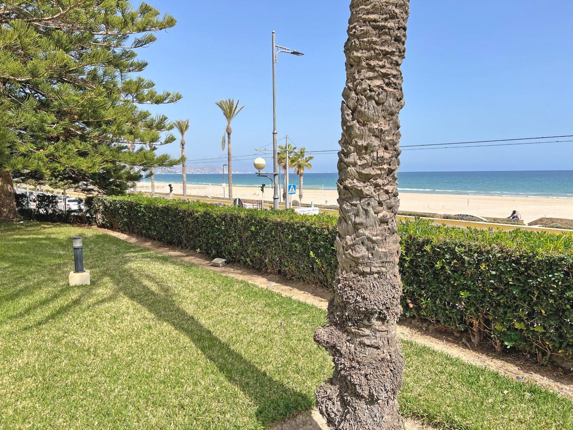 Oasis Frente Al Mar. Parking Gratis Διαμέρισμα El Campello Εξωτερικό φωτογραφία